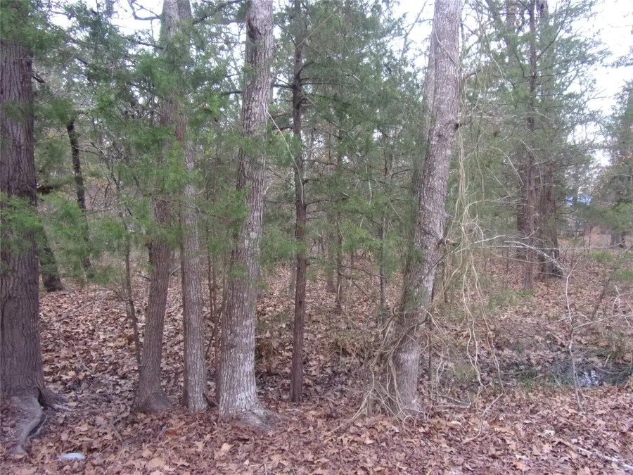 000 Hideaway, Murchison, TX 75778 - Image #3