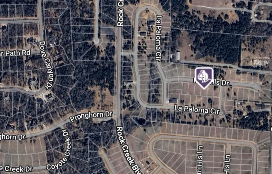 60 Mission Hills Drive, Gordonville, TX 76245 - Image #3