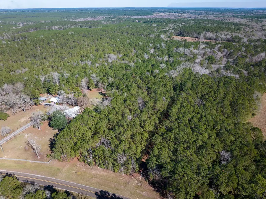 3320 Farm To Market 3065, Colmesneil, TX 75938 - Image #2