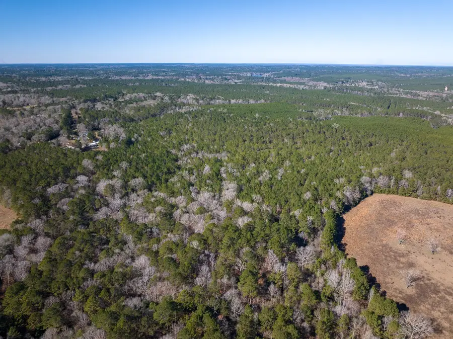 3320 Farm To Market 3065, Colmesneil, TX 75938 - Image #3