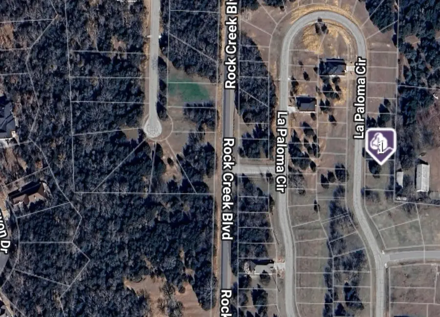 Lot 25 La Paloma, Gordonville, TX 76245 - Image #3