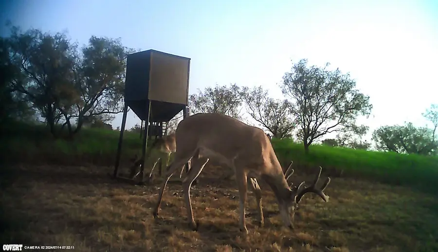 2267 County Road 414, Brady, TX 76825 - Image #2