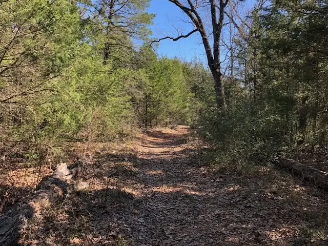 118 Lincoln Drive, Streetman, TX 75859 - Image #3