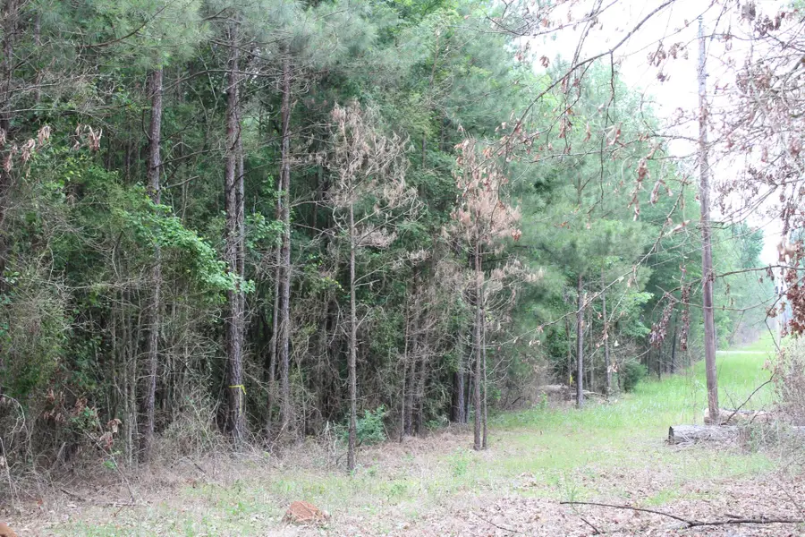 1 Mott Road, Plain Dealing, LA 71064 - Image #3