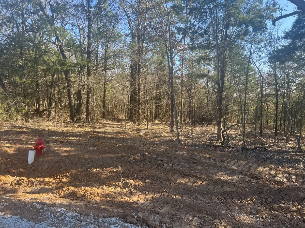 LOT 35 Reflection Bay Boulevard, Gordonville, TX 76245 - Image #1