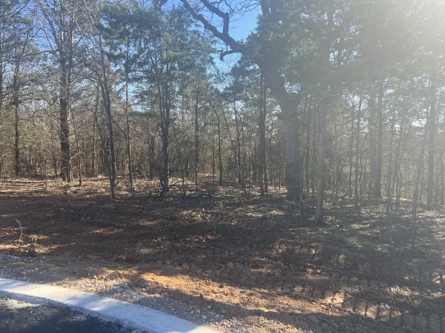 LOT 35 Reflection Bay Boulevard, Gordonville, TX 76245 - Image #2