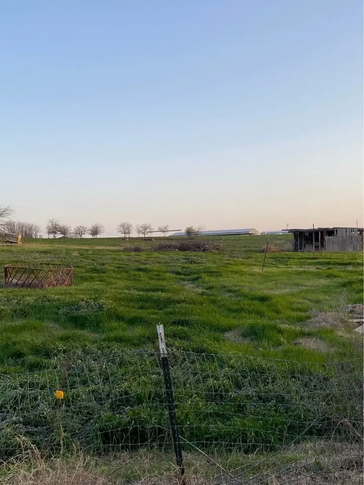 235 Hilltop Trail, New Fairview, TX 76078 - Image #3