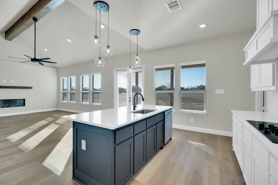 303 Crystal Lake Lane, Red Oak, TX 75154 - Image #3