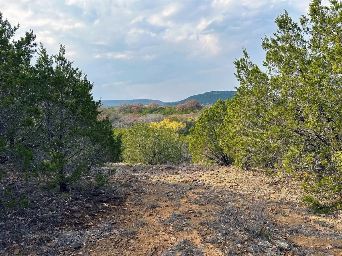 TBD County Road 471, Ranger, TX 76470 - Image #1