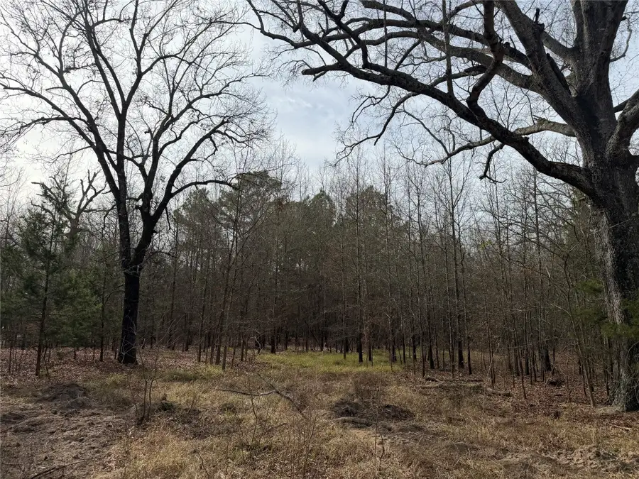 TBD Hwy 37, Clarksville, TX 75426 - Image #3