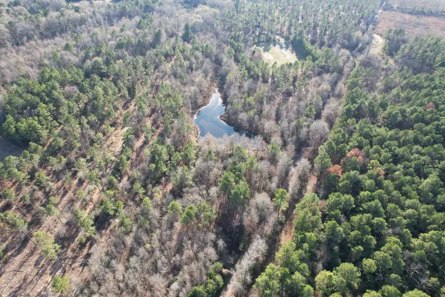 TBD-C County Road 216, Beckville, TX 75631 - #2