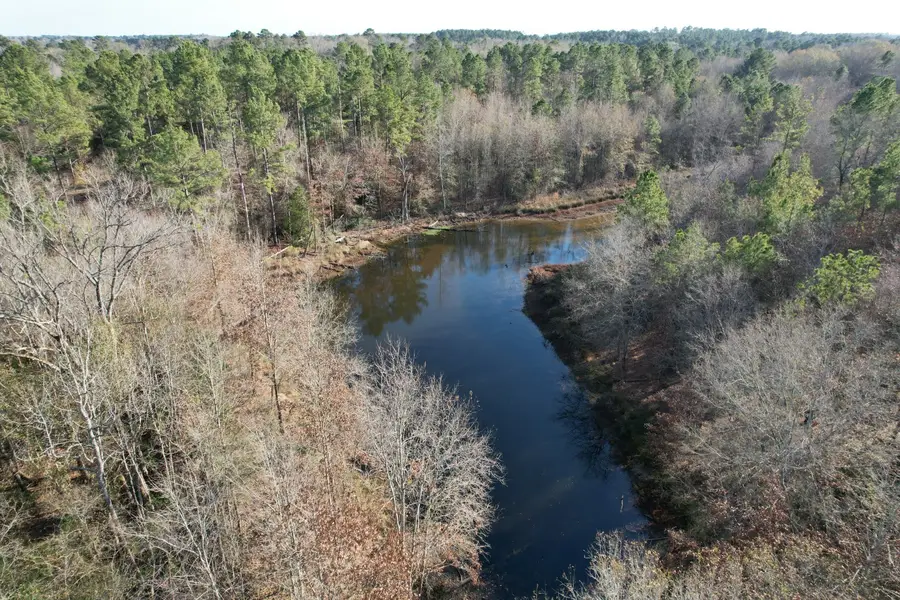 TBD-C County Road 216, Beckville, TX 75631 - #3