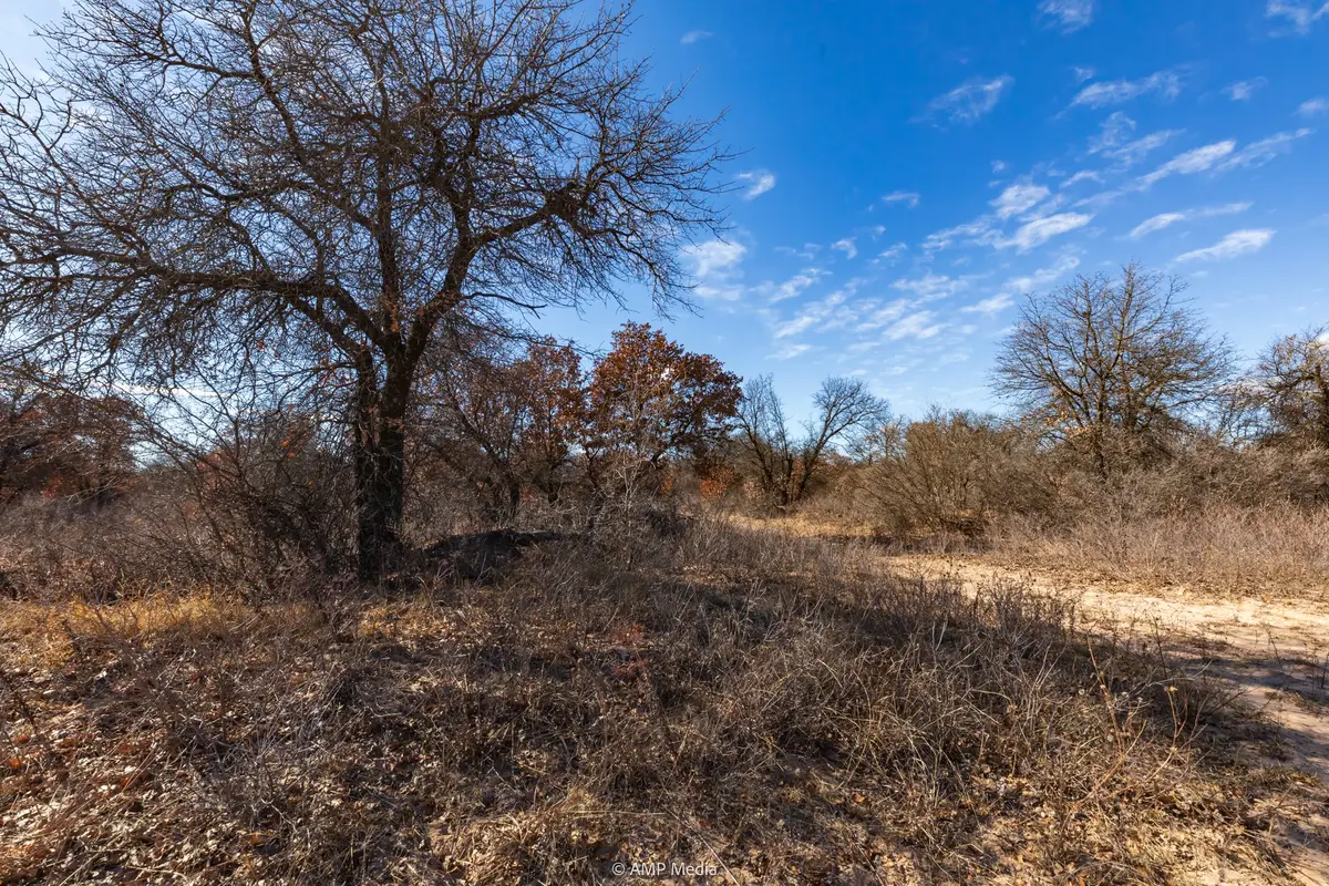 TBD Us Hwy 277 S, Hawley, TX 79525 - Image #1
