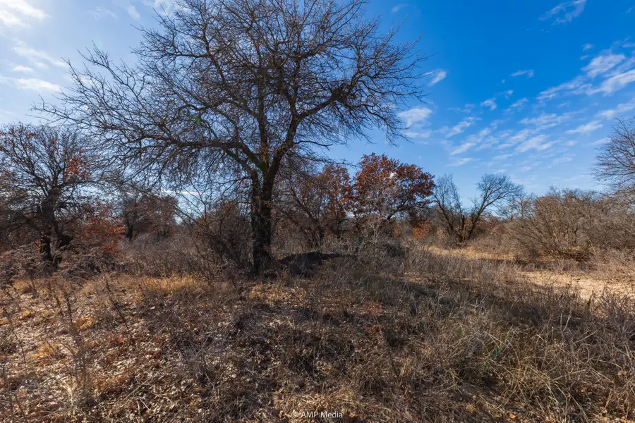 TBD Us Hwy 277 S, Hawley, TX 79525 - Image #3