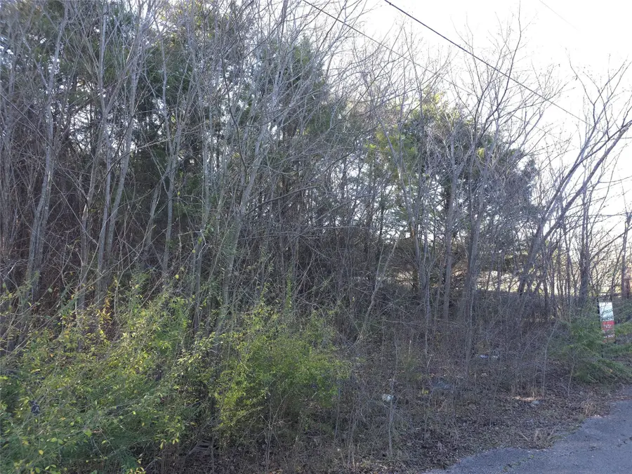 1816 Harrison Street, Greenville, TX 75401 - Image #3