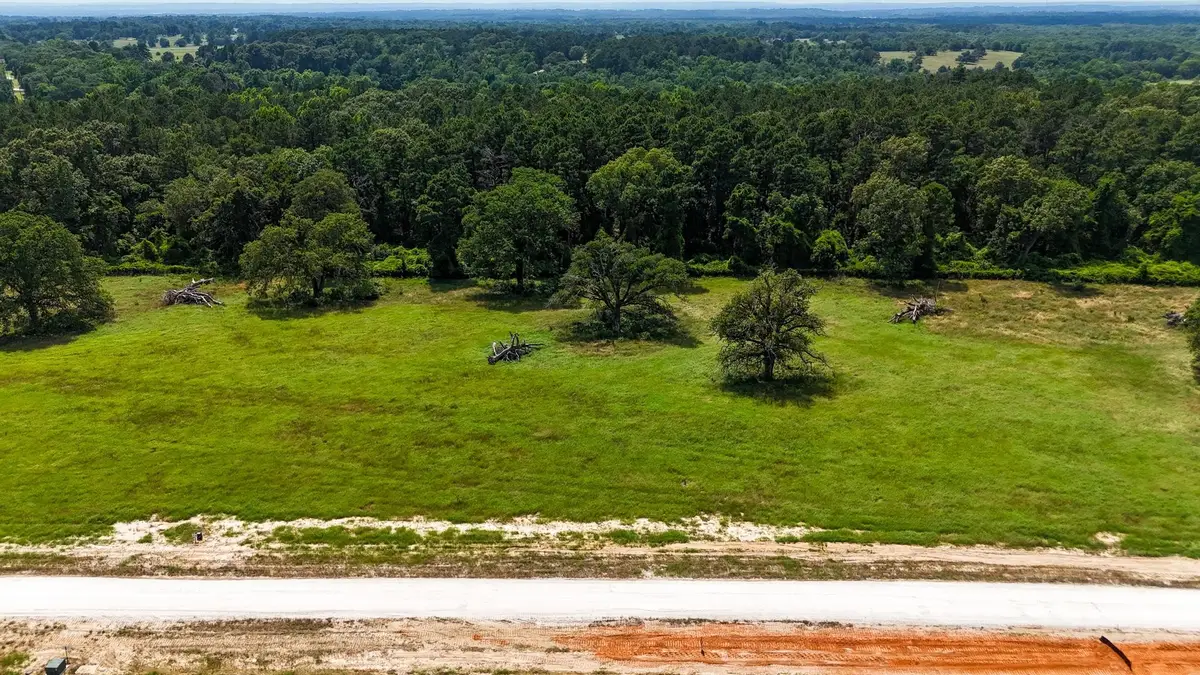 Lot 10 Windy Lane Drive, Bullard, TX 75757 - #1