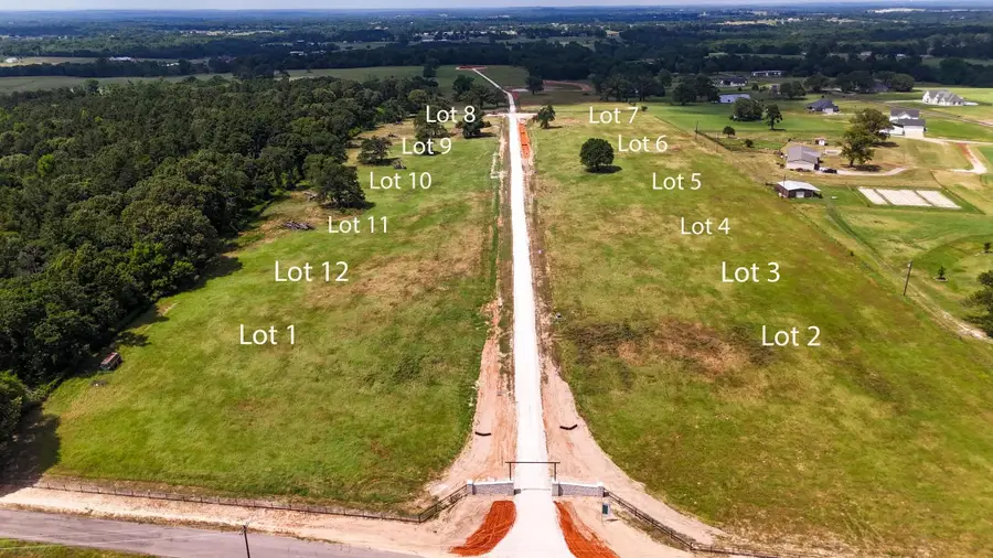 Lot 10 Windy Lane Drive, Bullard, TX 75757 - #3