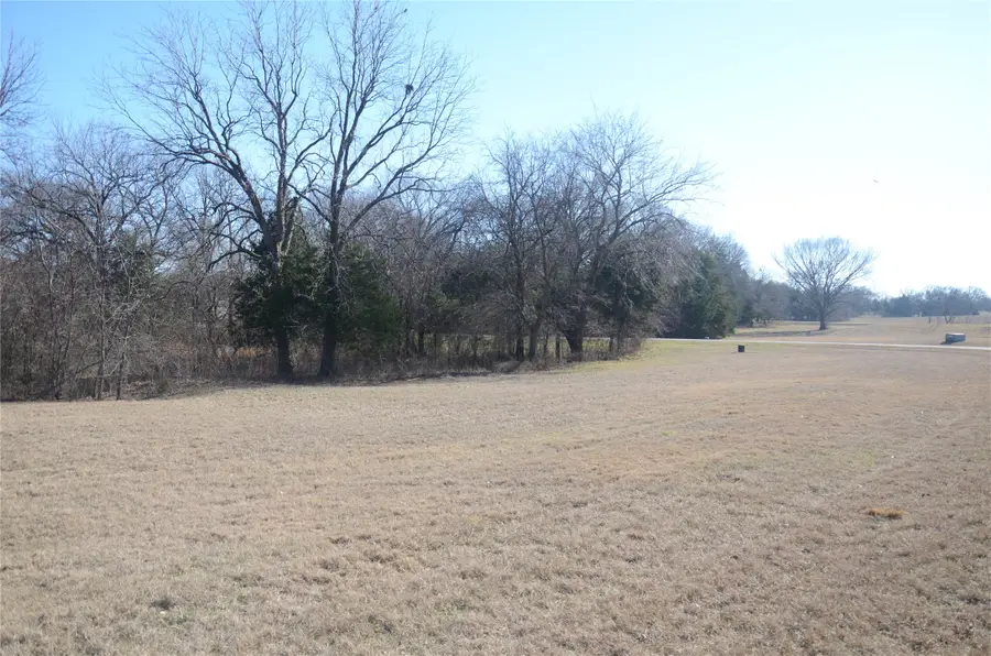 970 Pronghorn Drive, Gordonville, TX 76245 - Image #2