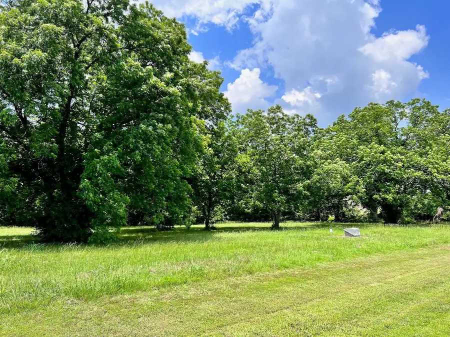 LOT 1-R South Point Drive, Streetman, TX 75859 - Image #3