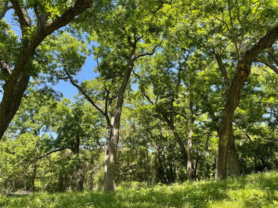 16824 Wortham Bend Road, China Spring, TX 76633 - Image #2