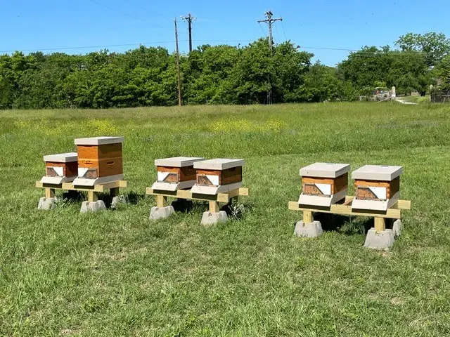 16824 Wortham Bend Road, China Spring, TX 76633 - Image #3