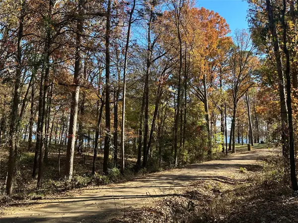 N/A Lot 58 County Road 2938, Mt Pleasant, TX 75455