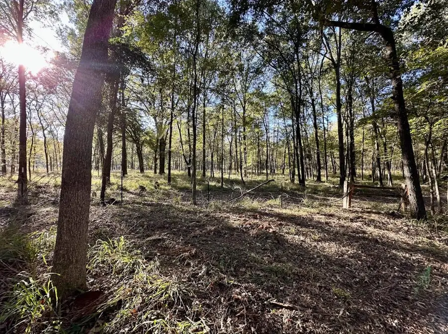 N/A Lot 58 County Road 2938, Mount Pleasant, TX 75455 - Image #2