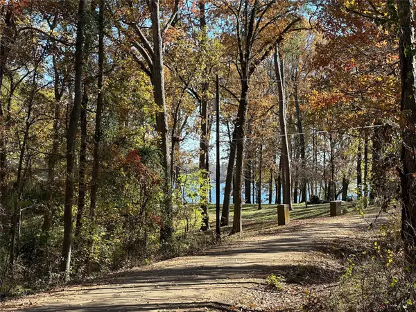 N/A Lot 59 County Road 2938, Pittsburg, TX 75686