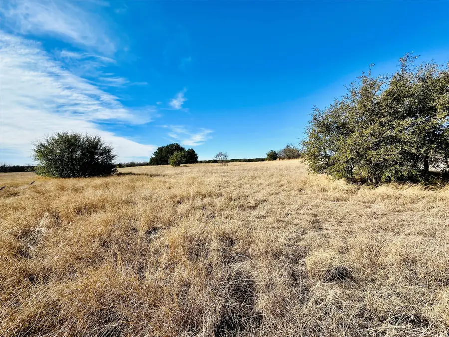 8655 Cr 452, Cross Plains, TX 76443 - Image #2