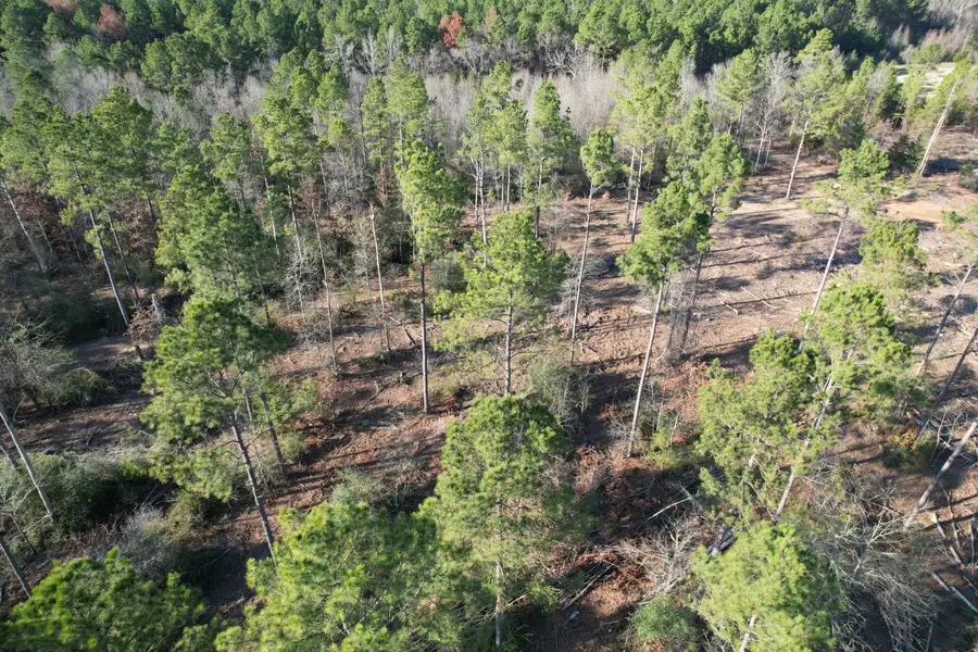 TBD-D County Road 216, Beckville, TX 75631 - #3