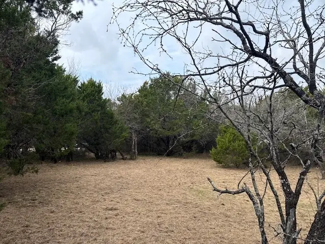 1377 Spring Valley Trail, Whitney, TX 76692 - Image #3