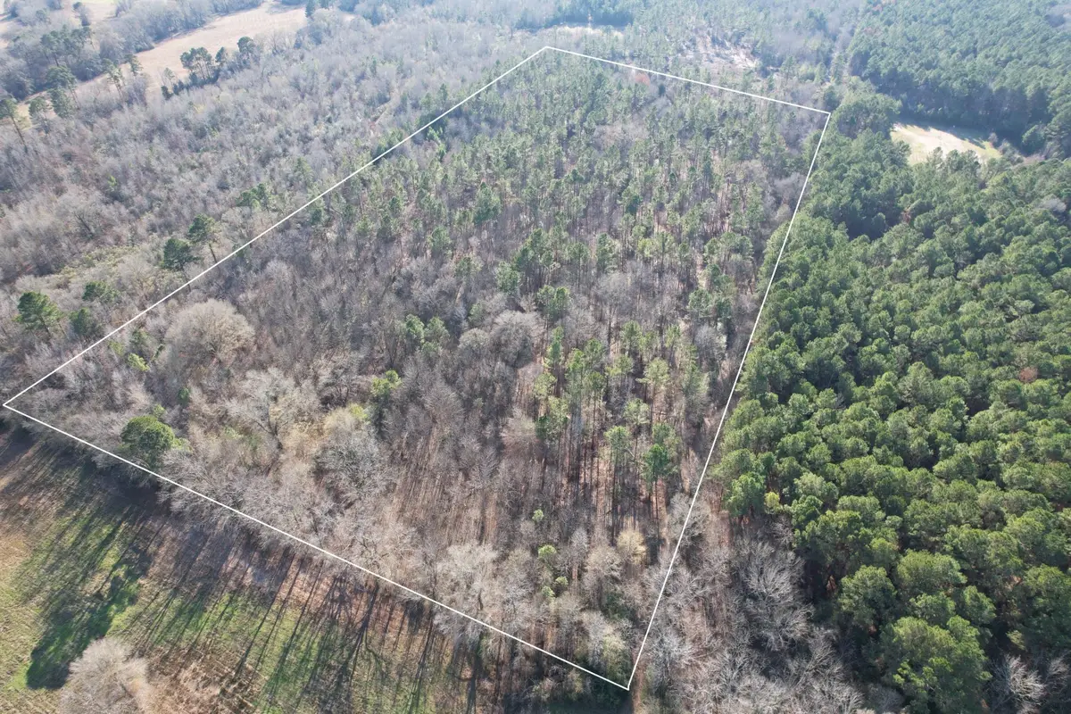 TBD-E County Road 216, Beckville, TX 75631 - #1