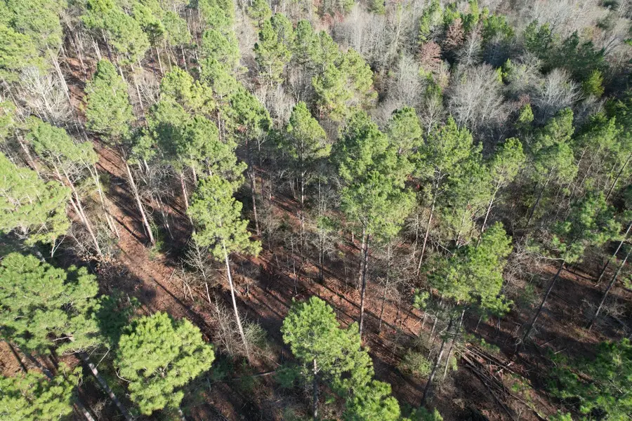 TBD-E County Road 216, Beckville, TX 75631 - #2