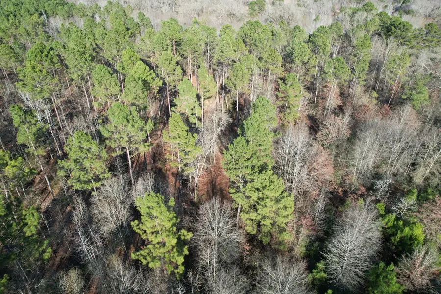 TBD-E County Road 216, Beckville, TX 75631 - #3