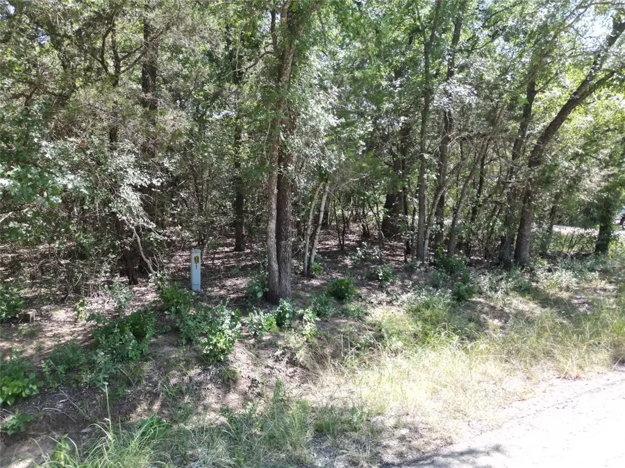 3613 Utah Trail, Granbury, TX 76048 - Image #3