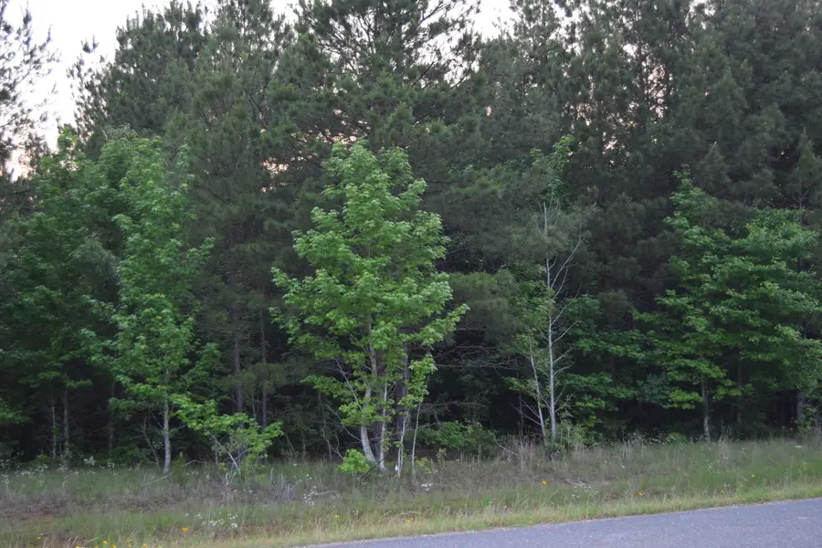 #1 Ryans Way, Minden, LA 71055 - Image #2