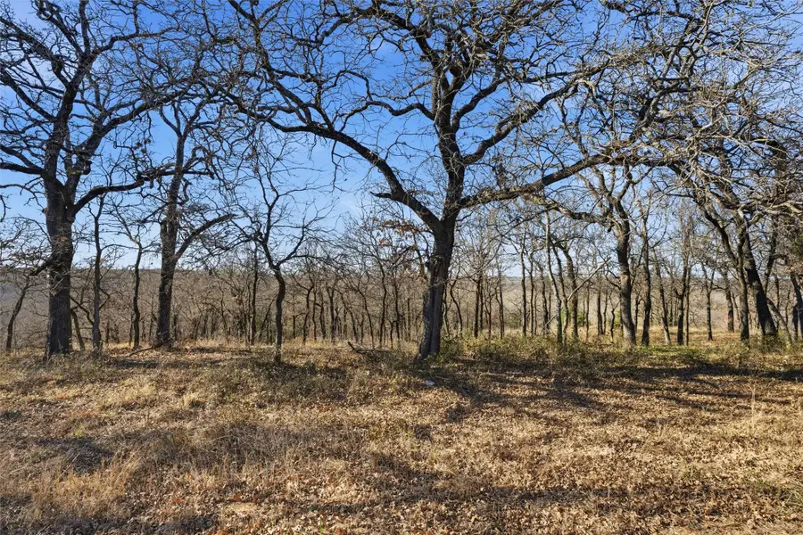 TBD Tokio Road, West, TX 76691 - Image #2