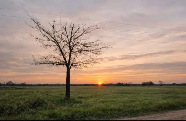 TBD County Road 14420, Pattonville, TX 75468