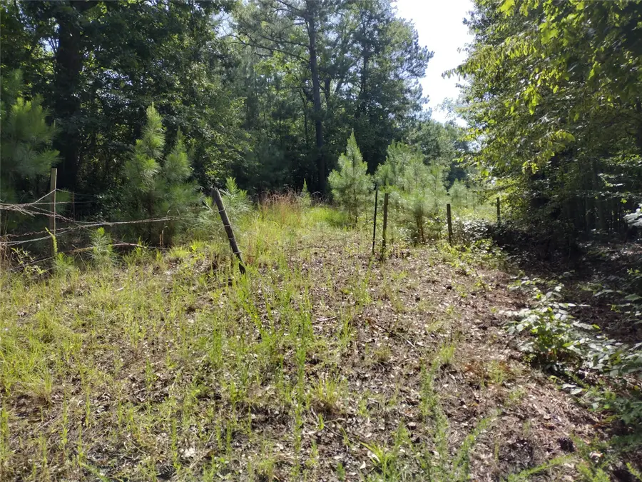 TBD Willow Point Marina Road, Lake O The Pines, TX 75668 - Image #2