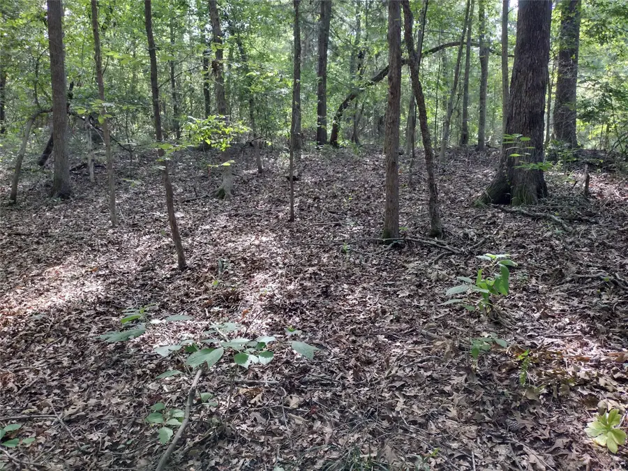 TBD Willow Point Marina Road, Lake O The Pines, TX 75668 - Image #3