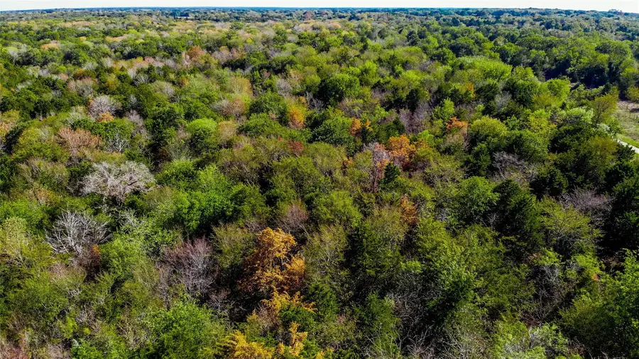 Lot 12 Se County Road 2370, Streetman, TX 75859 - Image #3