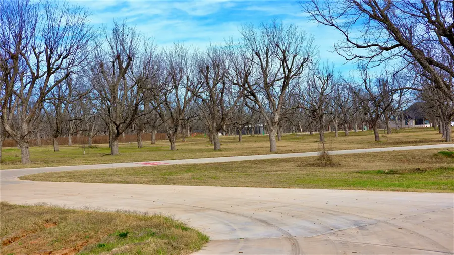 1700 Cirrus Loop, Granbury, TX 76049 - Image #3