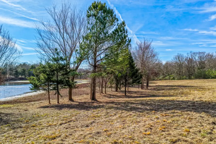 TBD County Road 1573, Alba, TX 75410 - Image #2