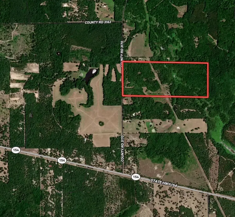 TBD County Road 3170, Quitman, TX 75783 - Image #2