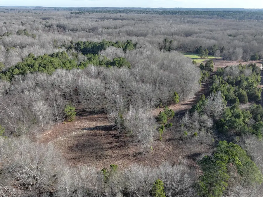 TBD County Road 3170, Quitman, TX 75783 - Image #3