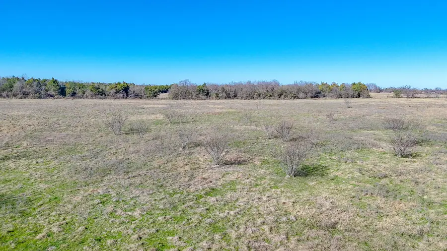 Lot 7 NE Cr 2160, Kerens, TX 75144 - Image #3