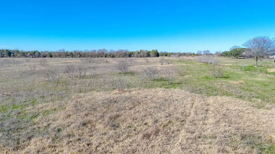 Lot 8 NE Cr 2160, Kerens, TX 75144 - Image #3