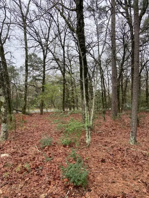 2529 Cr 3540, Hawkins, TX 75765 - Image #3