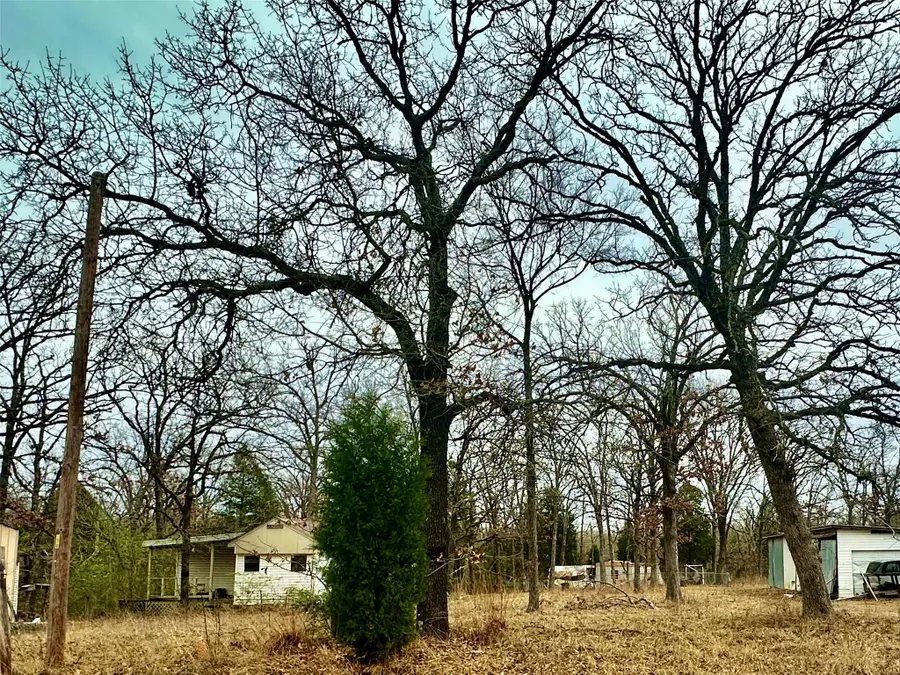 14543 San Jacinto Drive, Log Cabin, TX 75148 - Image #3