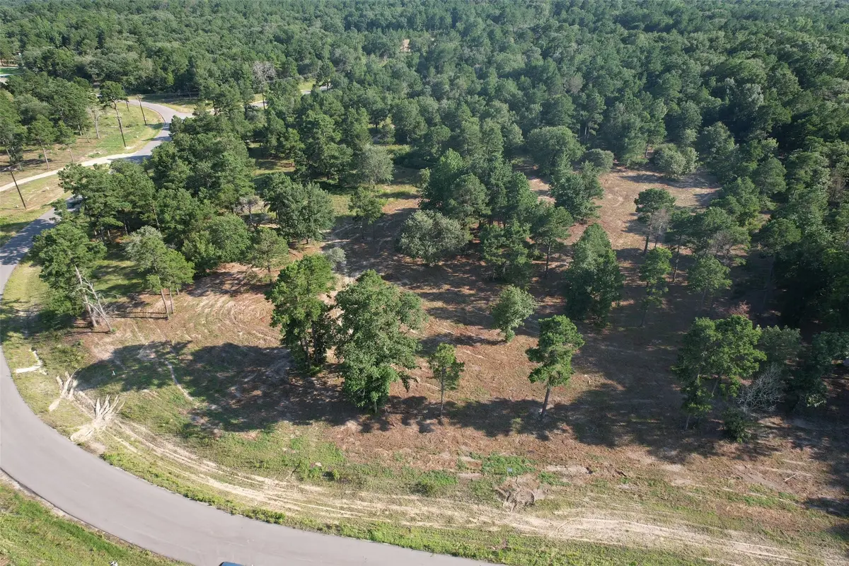3145 Shadow Pine Drive, Larue, TX 75770 - Image #1